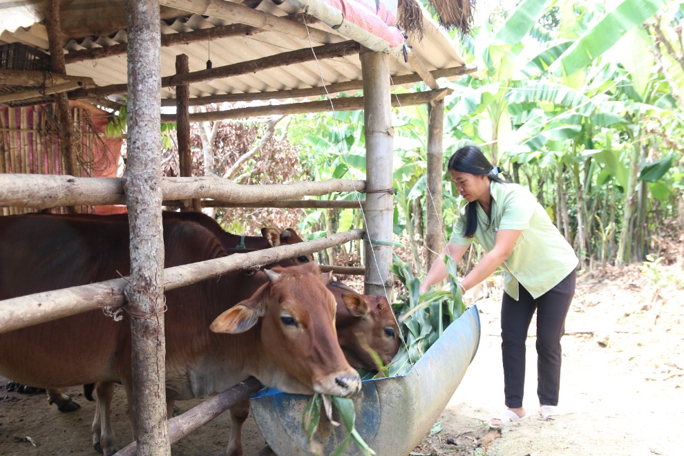 Lạng Sơn đa dạng hóa sinh kế, phát triển các mô hình giảm nghèo