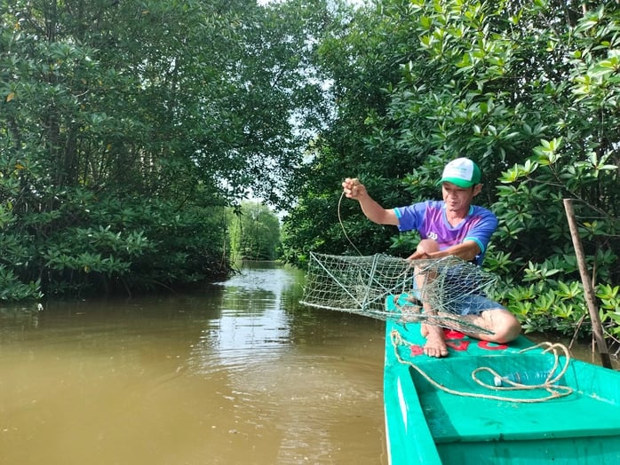 Cà Mau đặt mục tiêu trở thành trung tâm nuôi cua lớn nhất cả nước