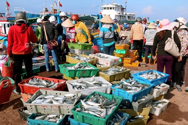 Đa dạng hóa sinh kế giảm nghèo tại đặc khu Lý Sơn