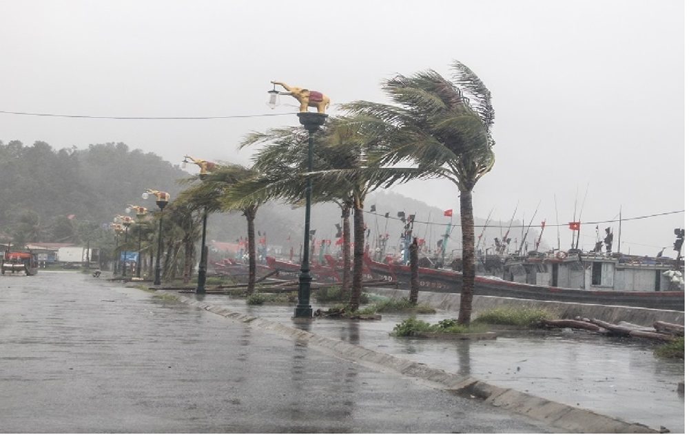 Thanh Hóa khẩn trương ứng phó với bão số 3