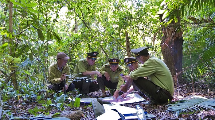 Hiệu quả từ ứng dụng công nghệ số trong bảo vệ rừng tại Quảng Ngãi