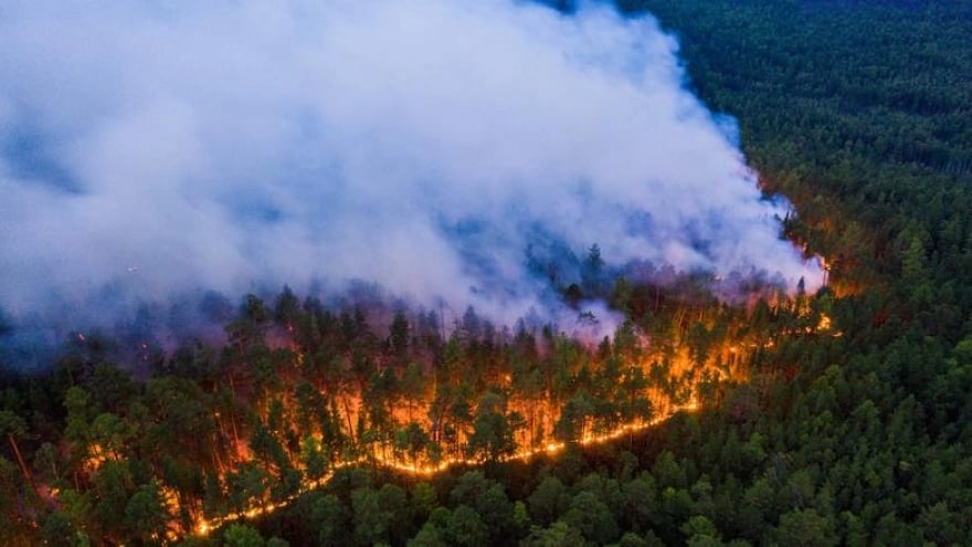 Hơn 600.000 ha rừng ở Siberia bị thiêu rụi