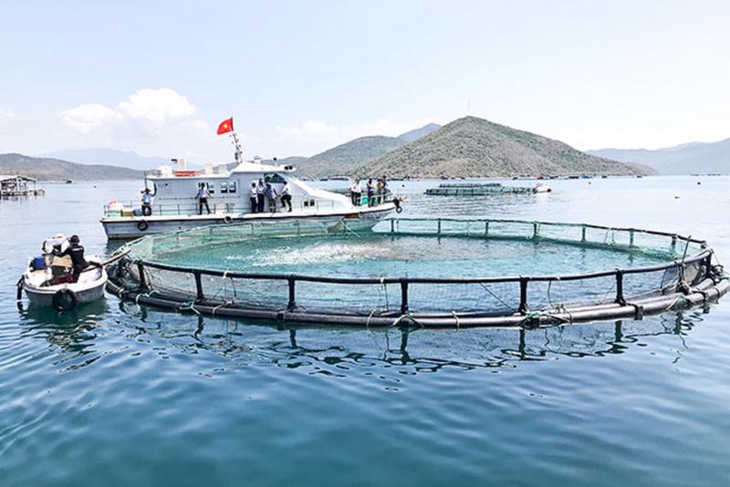 Quy định thời hạn giao khu vực biển nuôi trồng thủy sản