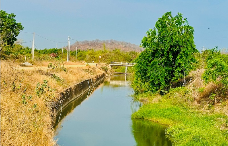 Khoảng 10.000 ha cây trồng ở Trung Bộ có nguy cơ thiếu nước 
