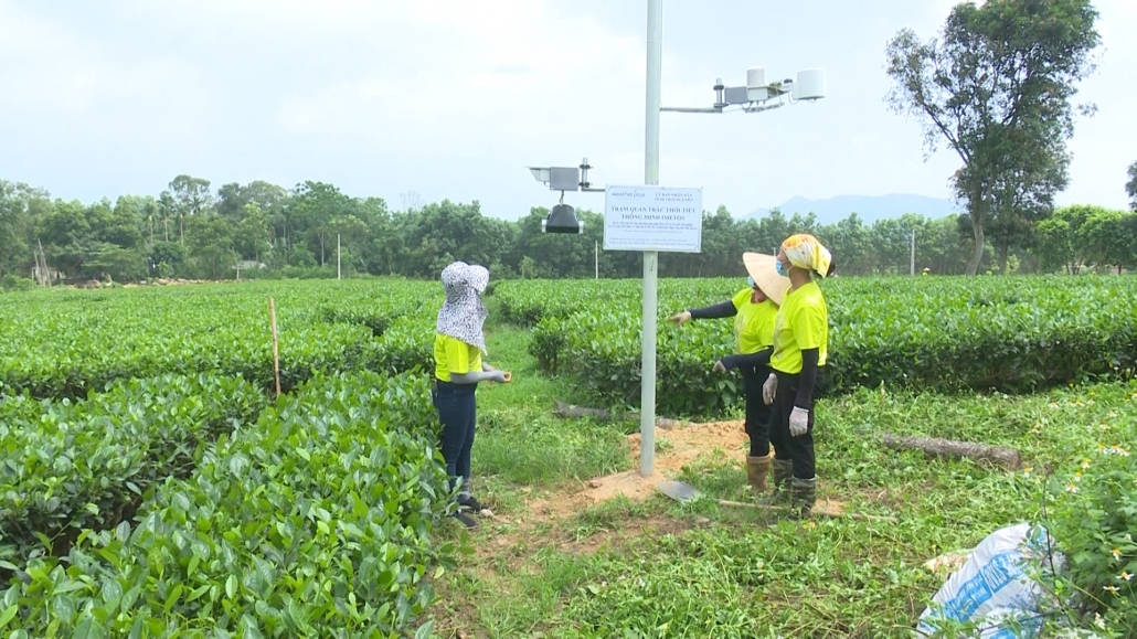 Thái Nguyên ứng dụng chuyển đổi số trong quản lý chất lượng nông sản