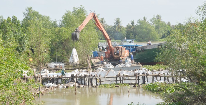 Tiền Giang chủ động giải pháp ứng phó với xâm nhập mặn