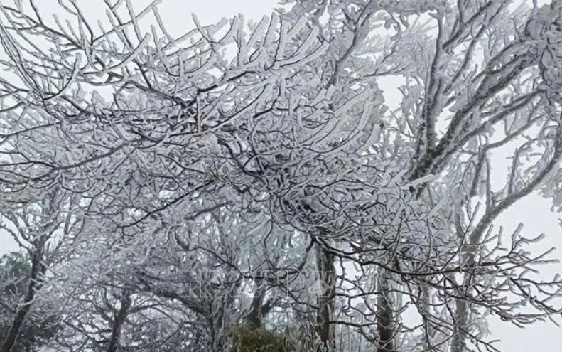 Thời tiết ngày 8/1: Bắc Bộ rét đậm, vùng núi đề phòng băng giá