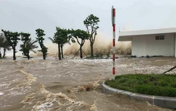 Thời tiết ngày 26/8: Bão số 5 suy yếu, Bắc Bộ và Bắc Trung Bộ mưa lớn