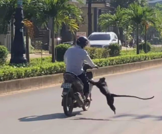 (Bố Trạch) Quảng Bình: Vọoc xuống đường tấn công người dân