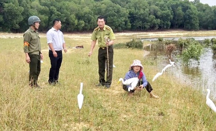 Quảng Bình nỗ lực ngăn chặn săn bắt chim trời hoang dã