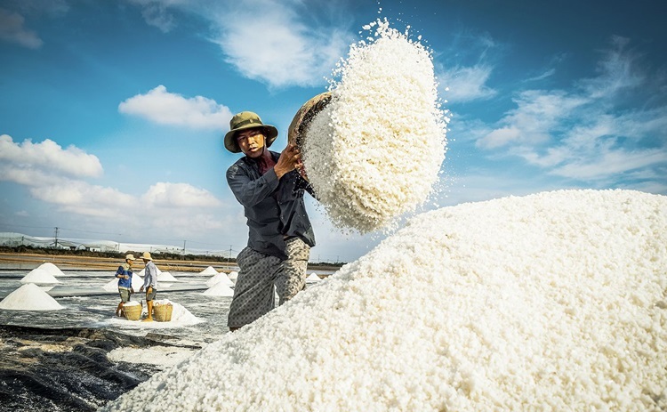 Đẩy mạnh phát triển sản xuất muối chất lượng cao