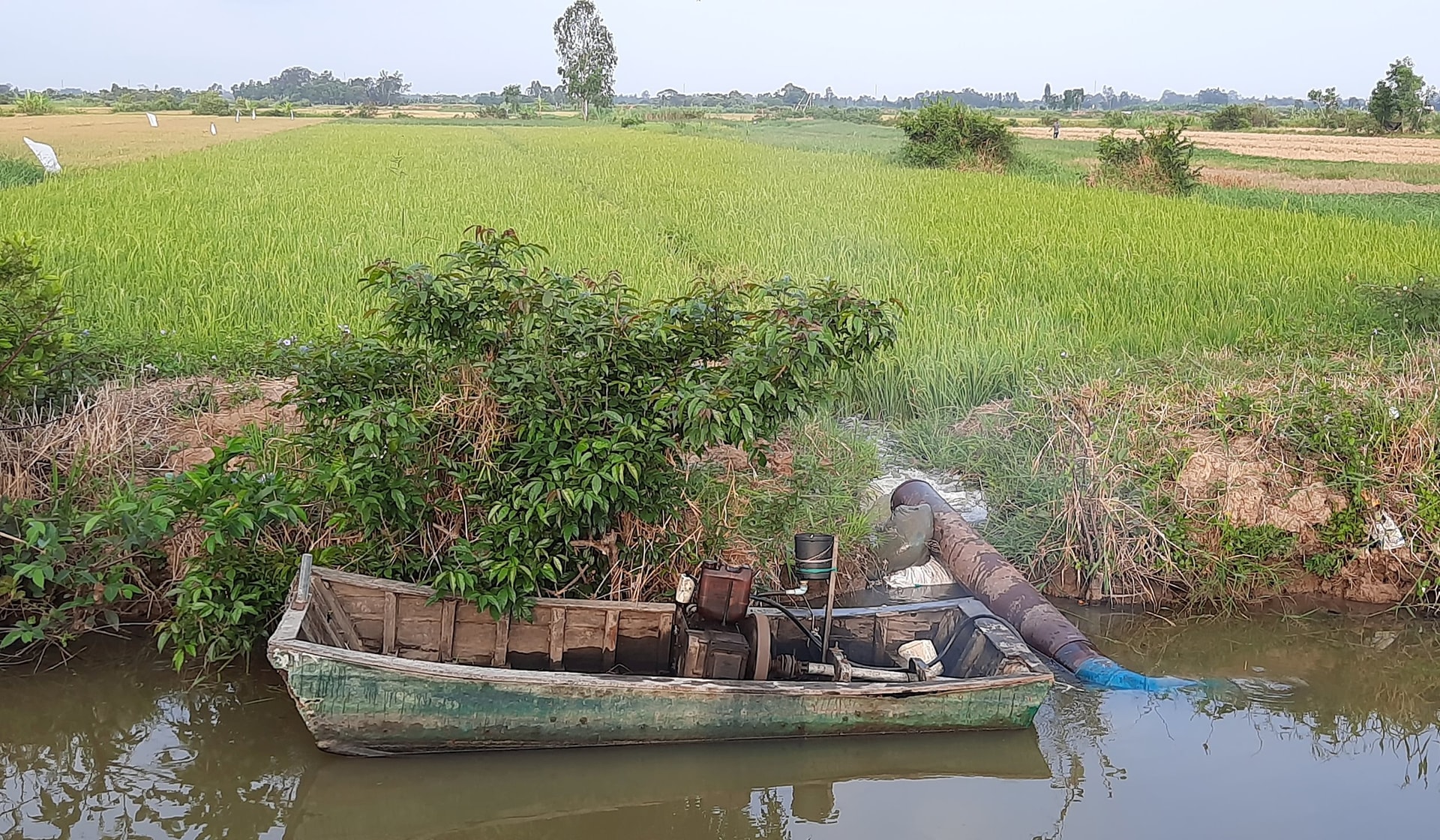 An Giang: Chủ động các giải pháp ứng phó cao điểm hạn, mặn