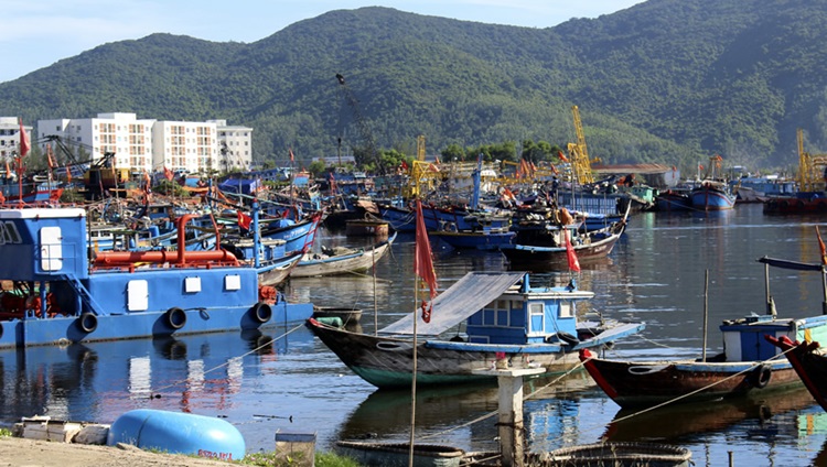 Đà Nẵng: Đầu tư hơn 65 tỷ đồng nâng cấp, cải tạo Âu thuyền Thọ Quang