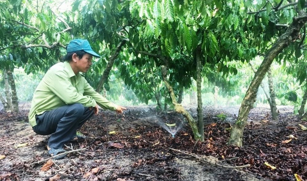 Đẩy mạnh chuyển đổi cơ cấu cây trồng, thích ứng với biến đổi khí hậu