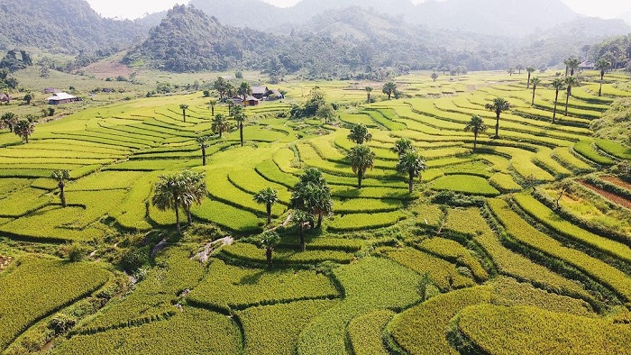 Khám phá điểm du lịch cộng đồng Bản Tèn (Thái Nguyên)