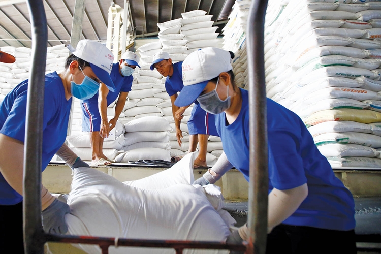 Giữ vững thị trường xuất khẩu gạo trong năm 2025
