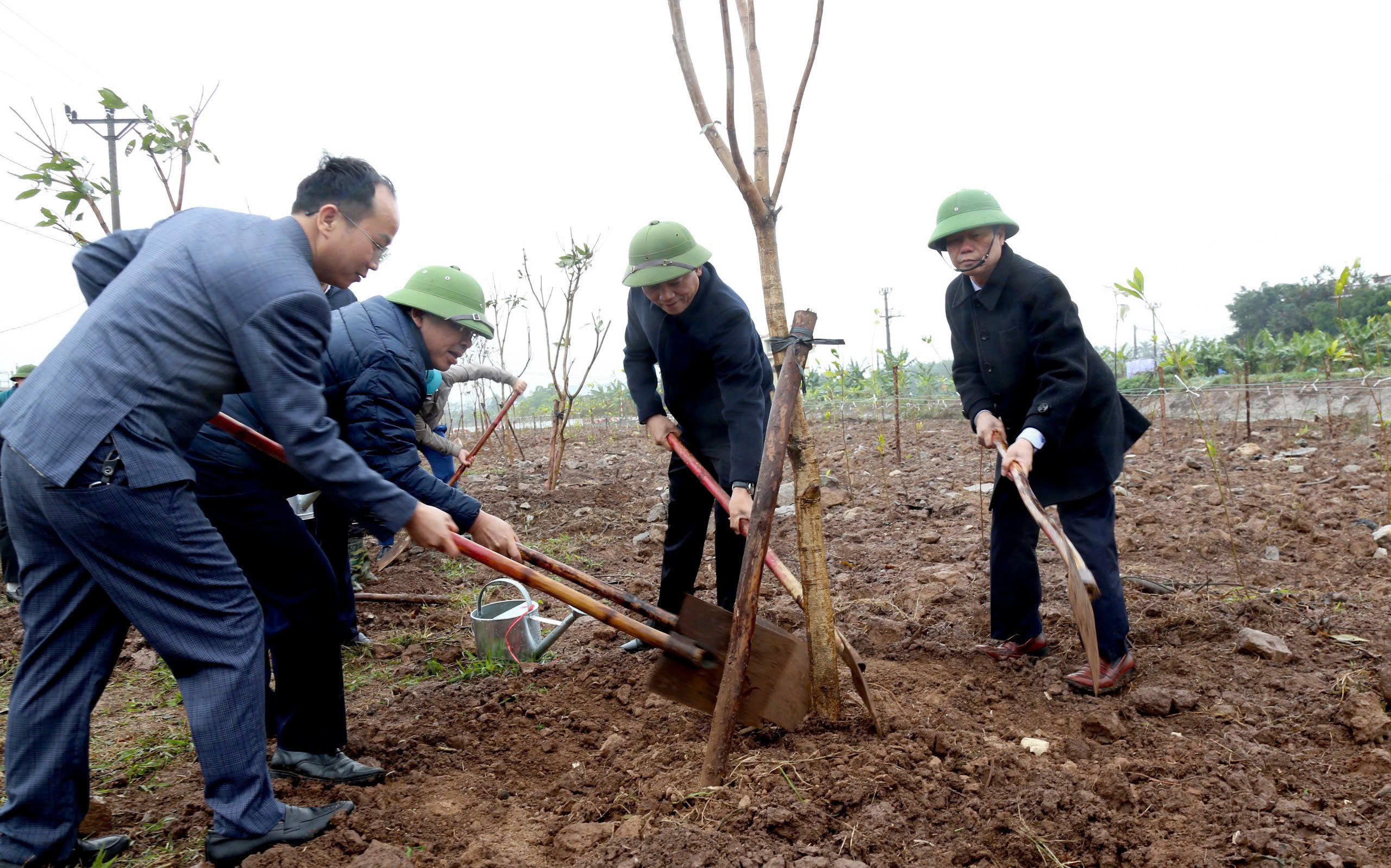 Ninh Bình: Ban quản lý các khu công nghiệp phát động Tết trồng cây