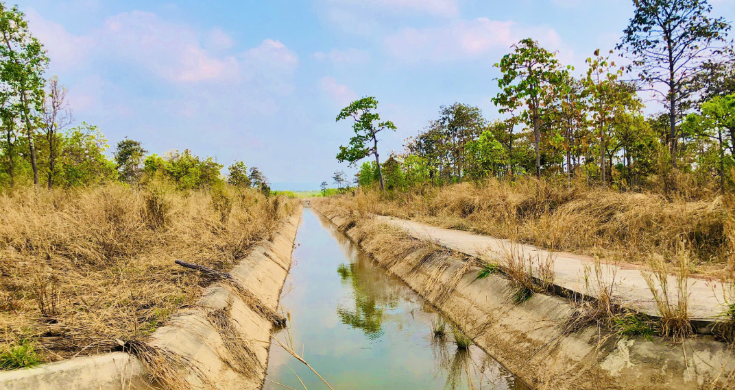 Gia Lai: Chuyển đổi hơn 4,5ha rừng làm kênh nhánh thuỷ lợi Ia Mơr