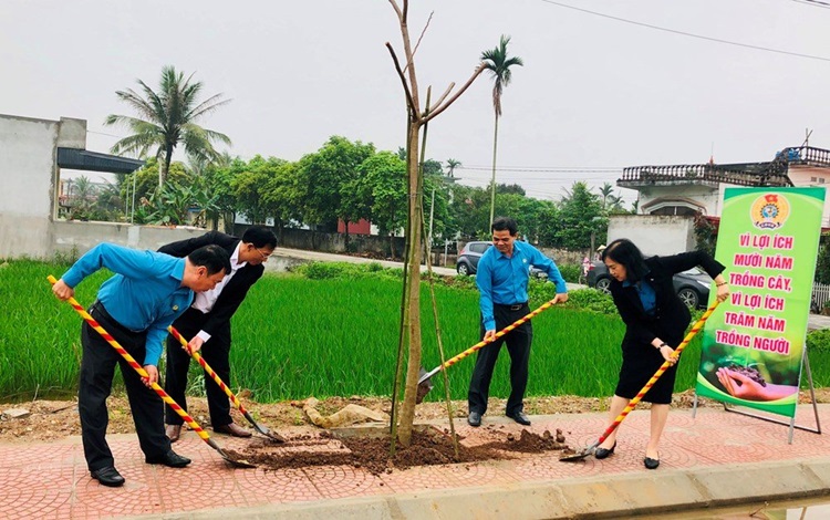 Nam Định: Hội Nông dân phát động Tết trồng cây Xuân Ất Tỵ 2025