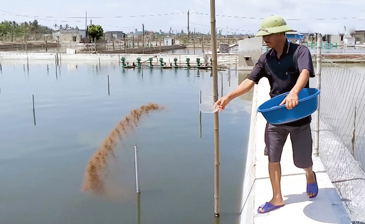 Triển vọng từ làm muối sang nuôi trồng thủy sản