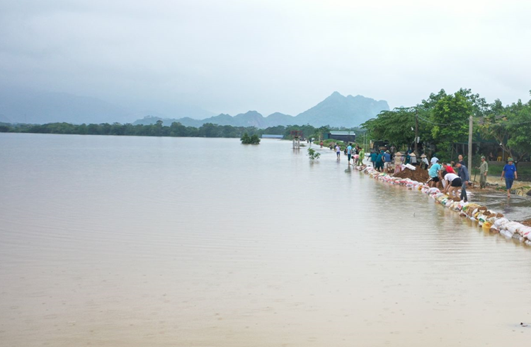 Lập Tổ kiểm tra thống kê, đánh giá mức độ thiệt hại nông nghiệp do thiên tai, dịch hại