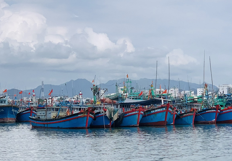 Địa phương ven biển tập trung xử lý dứt điểm tàu cá vi phạm IUU