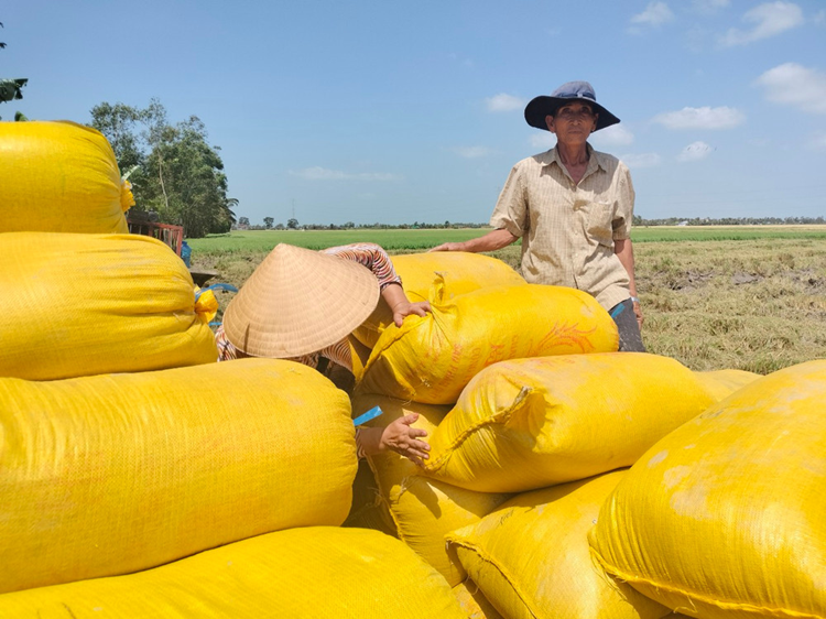 Bảo đảm an ninh năng lượng, an ninh lương thực quốc gia