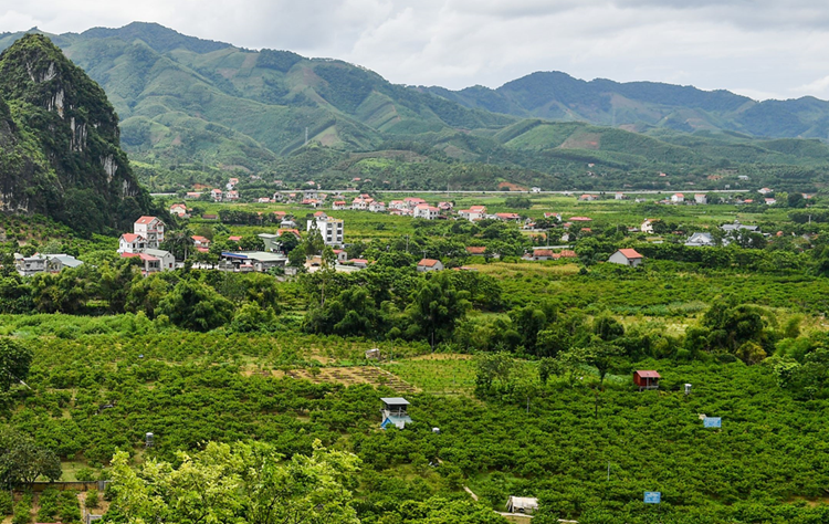 Lạng Sơn ưu tiên thu hút các dự án phát triển chuỗi sản phẩm nông nghiệp đặc trưng