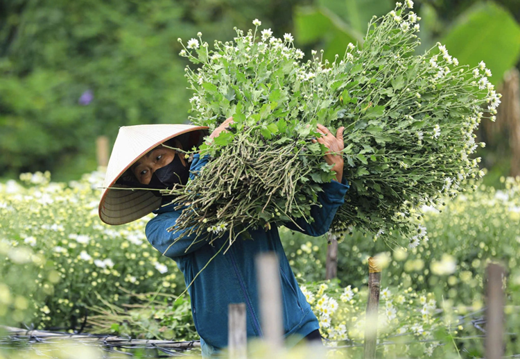 [Quy hoạch Hà Nội] Hướng phát triển ngành trọng điểm