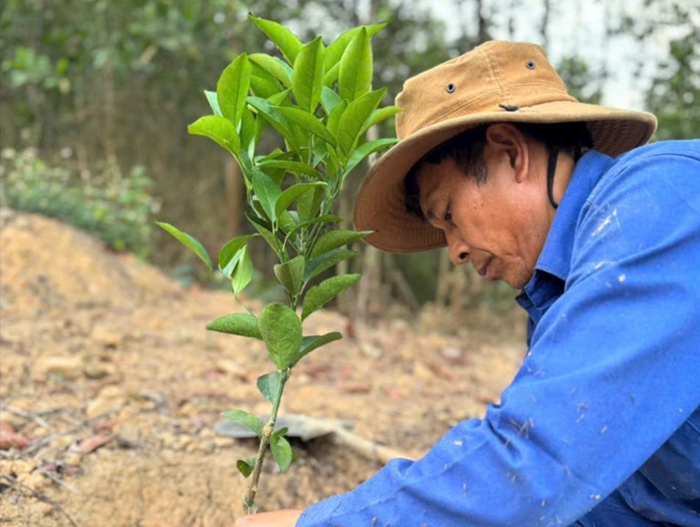 Hòa Bình: Thúc đẩy phát triển kinh tế xanh, tuần hoàn trong sản xuất nông nghiệp