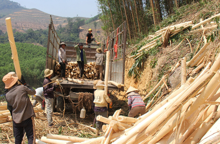 Kiểm soát chặt chẽ việc buôn bán, vận chuyển lâm sản, động vật hoang dã