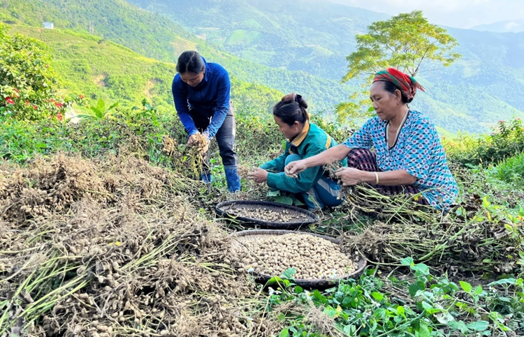 Tìm giải pháp ứng phó các thách thức về an ninh lương thực, biến đổi khí hậu