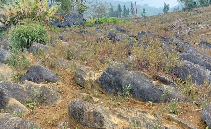 Luật Địa chất và khoáng sản: Nhiều điểm mới bám sát thực tiễn