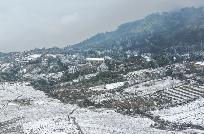 Rét đậm, rét hại có thể kéo dài, các địa phương cần chủ động ứng phó