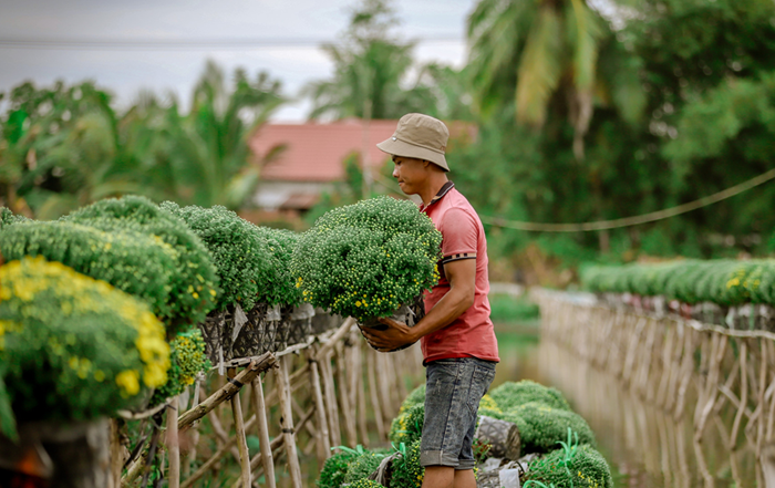 Vai trò lãnh đạo của Đảng trong phát triển nông nghiệp, nông thôn