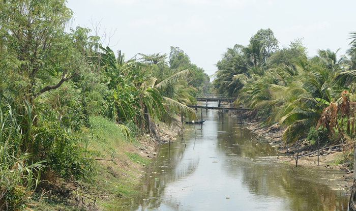 Các địa phương cần chủ động phương án ứng phó cao điểm xâm nhập mặn