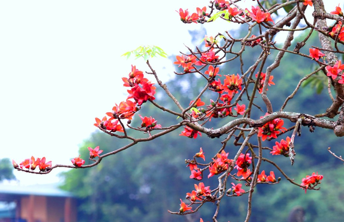 Phát triển đa dạng các loại hình du lịch theo hướng tăng trưởng xanh