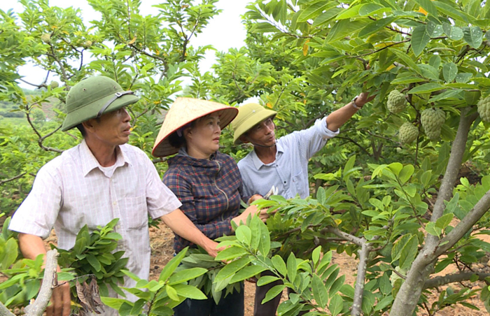‘OCOP đang âm thầm tạo hệ sinh thái mang đậm chất bản địa’