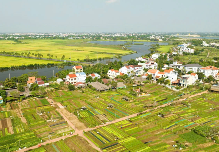 Miễn thuế đất nông nghiệp đến hết năm 2030