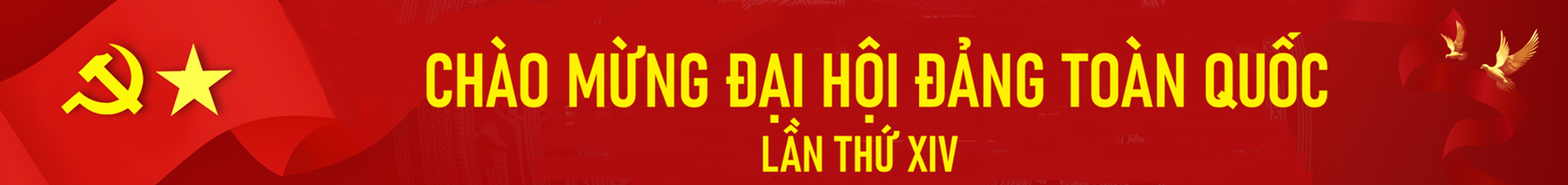 Banner chính